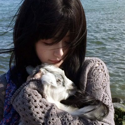 犬心犬意