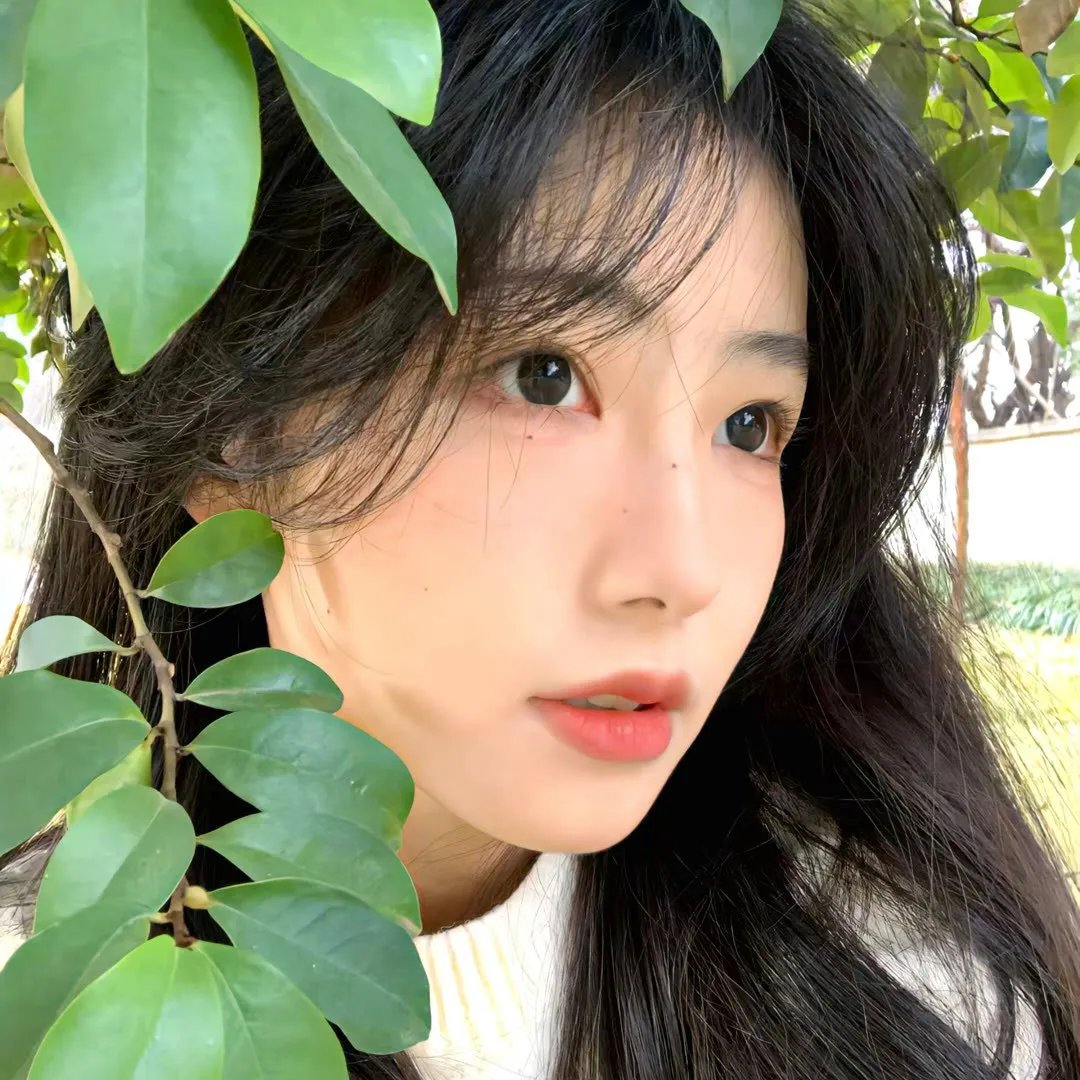 自然先生